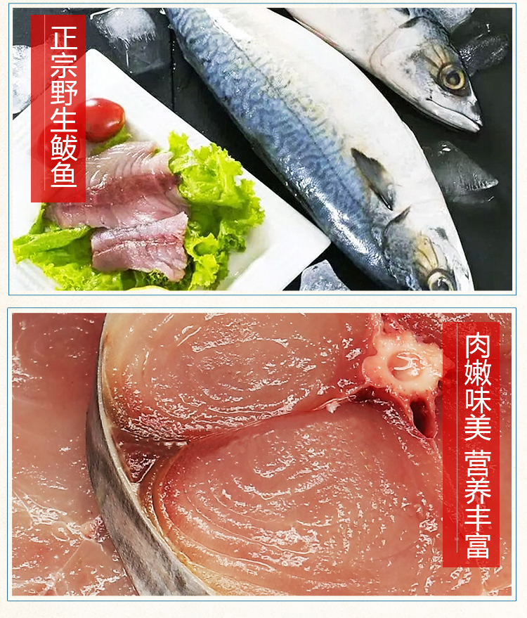 鲅魚餡料(圖3)